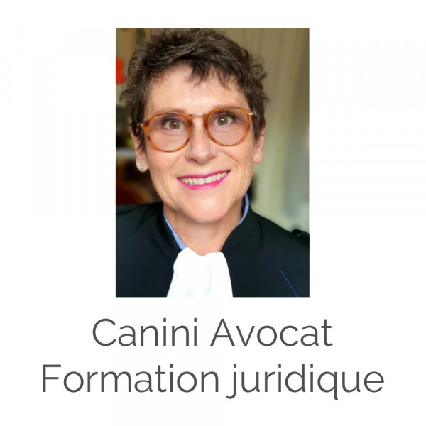 Canini Avocat – Formation Juridique
